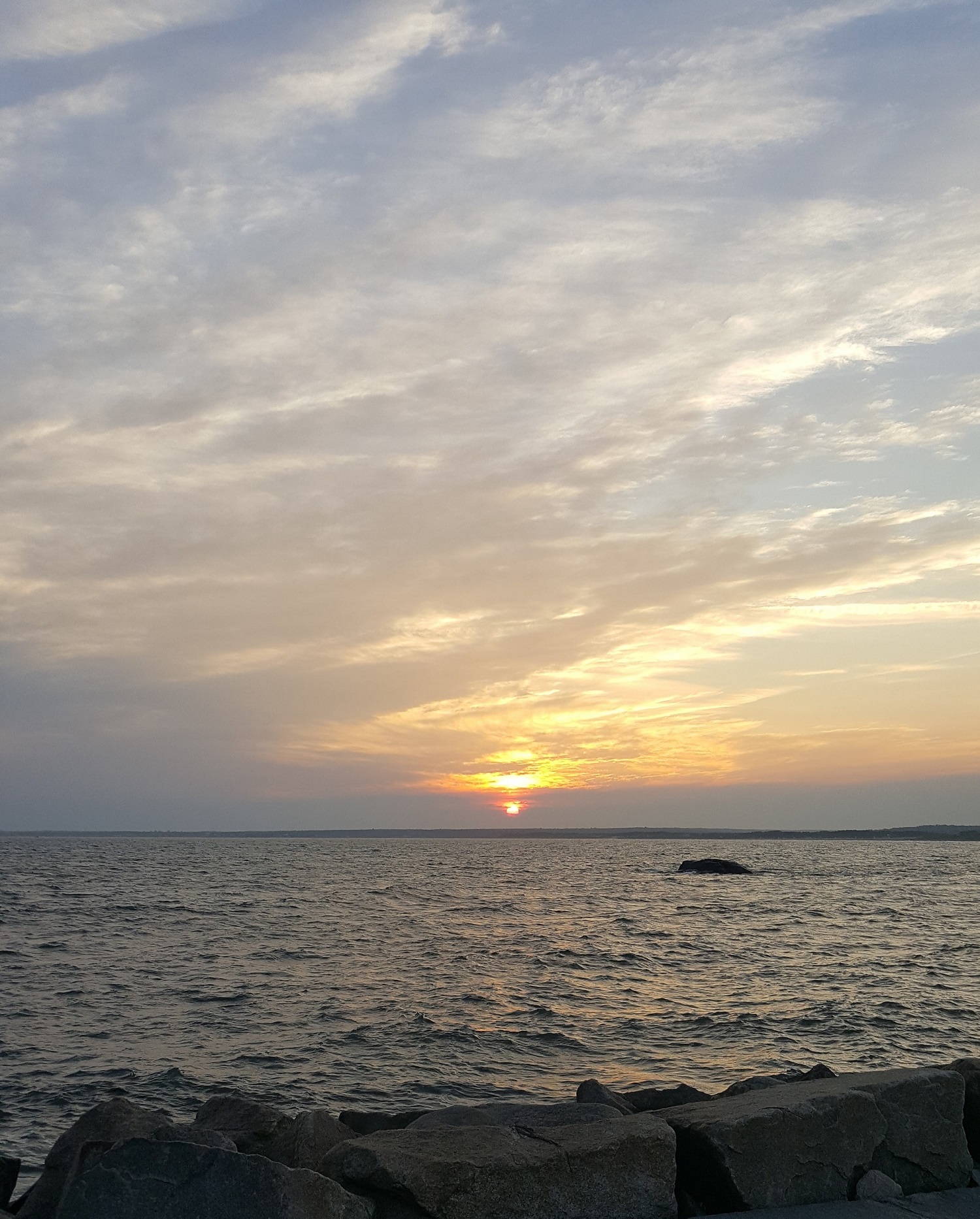 20170721_200214.jpg