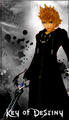 organization 13 roxas