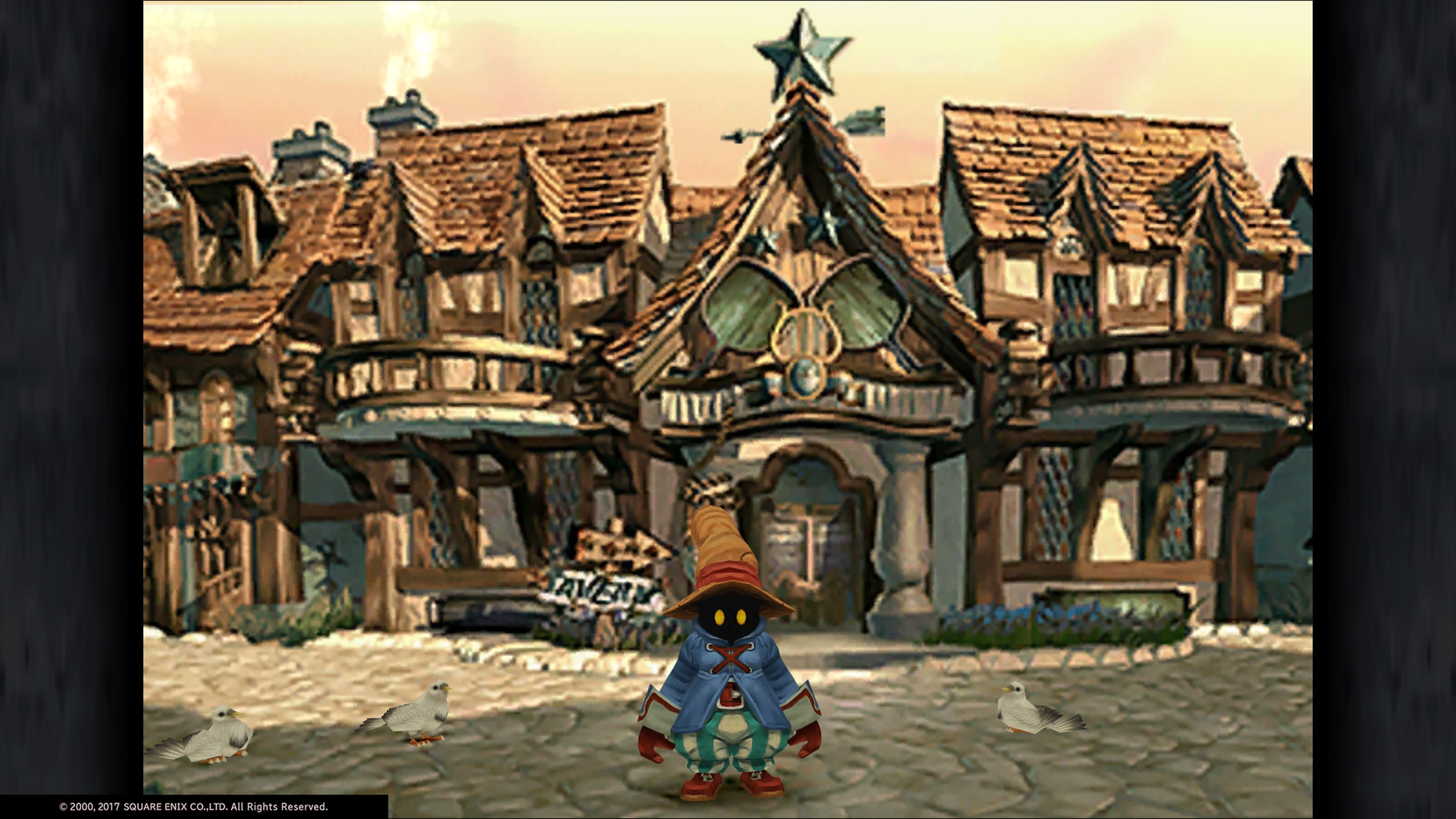 Final Fantasy IX Vivi